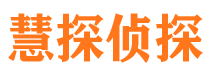 龙马潭市侦探调查公司